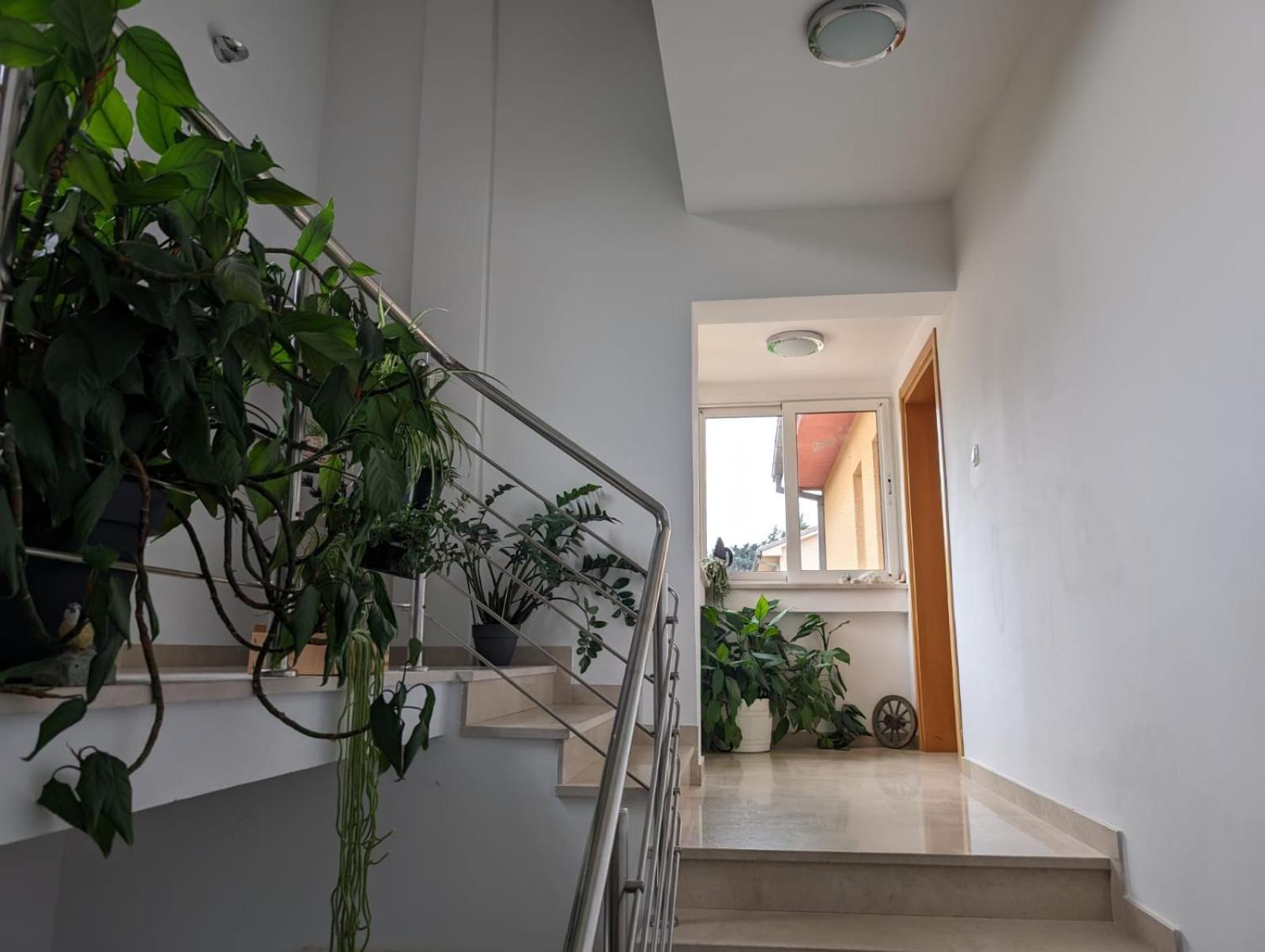 Vesna Rooms Crikvenica Kültér fotó